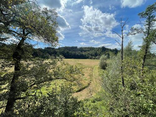 Blick aus dem Haus - Grundstück in Altenkirchen