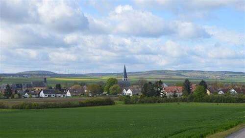 Pfaffen-Schwabenheim - Zum Verkauf: 2607 qm Grundstück im Gewerbemischgebiet in Rheinhessen