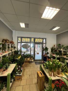 Verkaufsfläche (1).jpg - 2 Zimmer Gewerbeobjekt (Büro, Produktion, Verkauf) in Stralsund