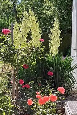 Ein blühendes Paradies – Ihr Garten zum Entspannen - 5 Zimmer Einfamilienhaus in Dießen