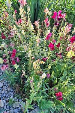 Ein Garten voller Farbenpracht - Einfamilienhaus mit 130,00 m&sup2; in Dießen zum Kaufen