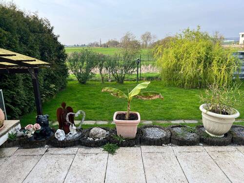 Blick von der Terrasse - 