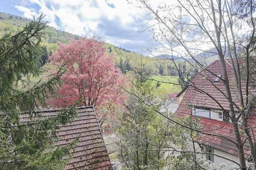 Aussicht vom Garten_ - 9 Zimmer Mehrfamilienhaus, Wohnhaus zum Kaufen in Bad Herrenalb