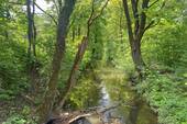 Anlage - 