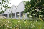 Grünfläche - 