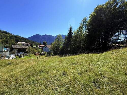 Blick Richtung Haus, Baugrund - 