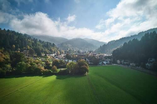 Wiehre-Günterstal: 4x GründerzeitWhg + Fabrik-Loft - Mehrfamilienhaus, Wohnhaus mit 405,00 m² in Freiburg im Breisgau zum Kaufen