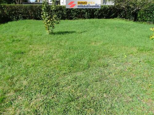 Grundstück in Lörrach 5.jpg - 