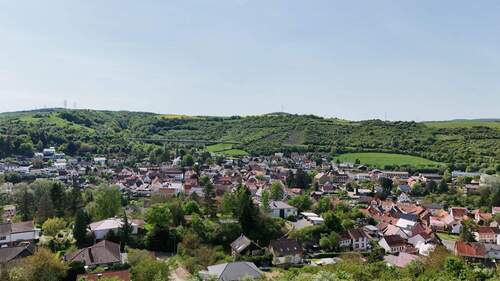 Blick auf Alsenz - 