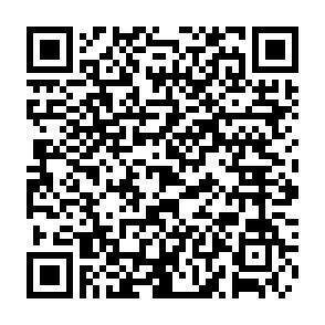 QR-Code - 