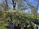 direkt am Reigersbach - 