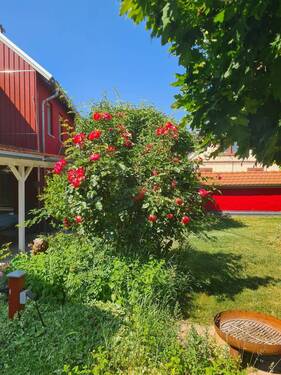 Gartenansicht - 