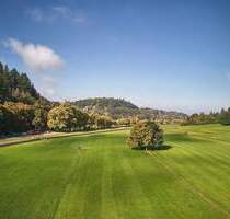 Gründerzeit modernisiertes 3-4-Fam.Haus mit Fabrik-Loft + 405qm WNF + 528qm GS + Gartenhaus + Paradiesgarten + teilbar in Teileigentum - Freiburg im Breisgau Günterstal