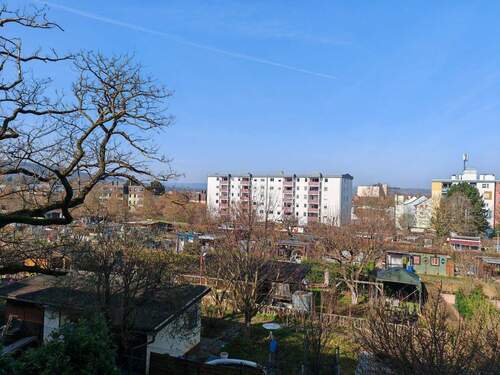 IMG_20260308_110838.jpg - 