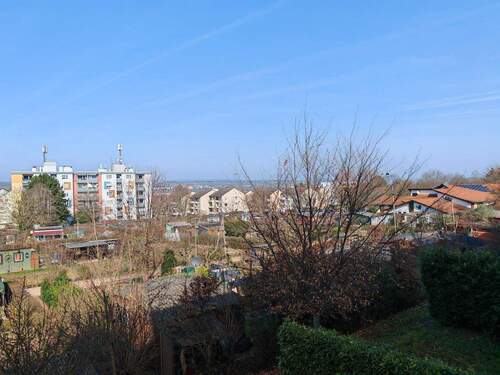 IMG_20260308_110845.jpg - 