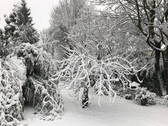 Winterimpression - 