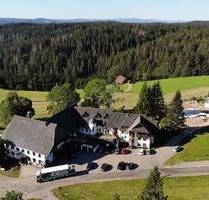 12 teilmöb. Einzelwhgen & 3 Haus-Grundstücke in naturnaher Lage mit wunderv.Ausblick & Garten - Furtwangen Stadtgebiet