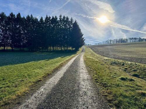 Landweg zum Haus - 