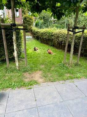 eigener Garten - 3 Zimmer Etagenwohnung zum Kaufen in Mönchengladbach