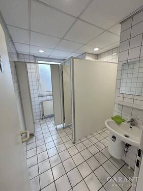 IMG 0685 - 