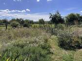 Bild10 - 