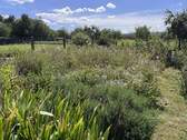 Bild11 - 
