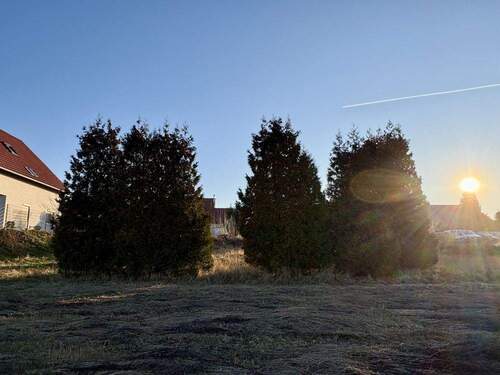 Grundstück Blickrichtung Süden - Grundstück zum Kaufen in Grimma / Wetteritz