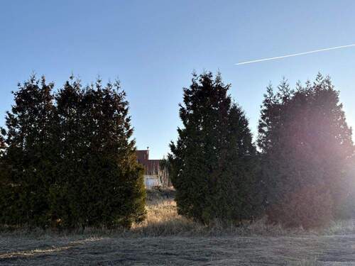 Grundstück Blickrichtung Süden - Grundstück in Grimma / Wetteritz