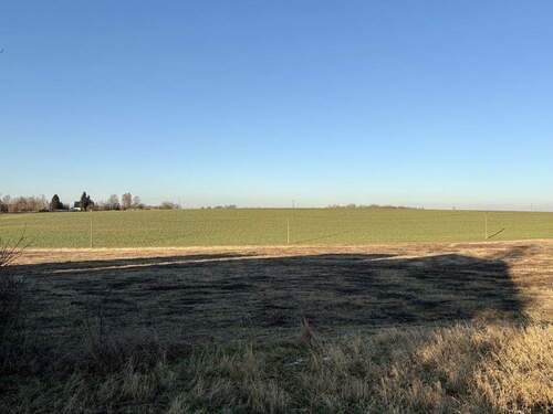 Aussicht Blickrichtung Norden - 