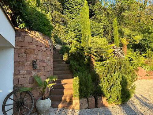 Gartenimpressionen - 