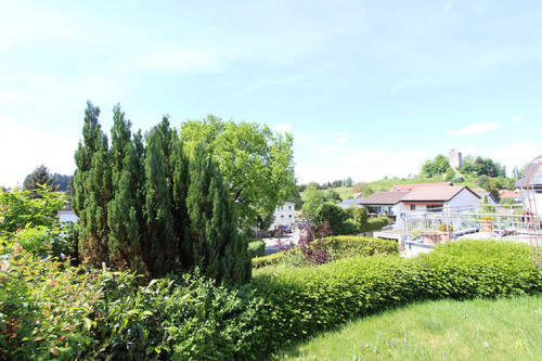 Bild8 - 