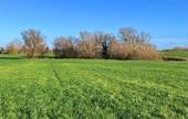 Biotop - 
