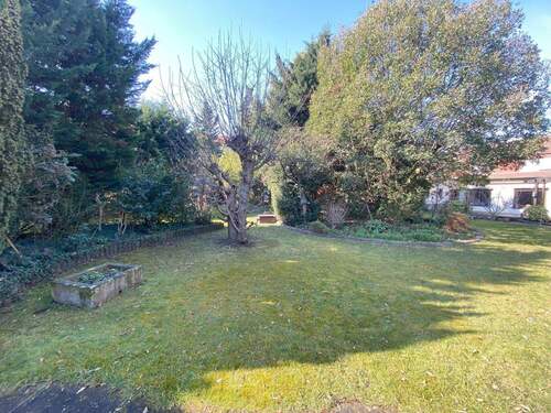 Gartenansicht - Großes Grundstück in Mannheim Rheinau mit Altbestand zum Abriss!