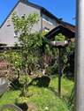 Garten : revitalisiert - Mehrfamilienhaus, Wohnhaus mit 145,00 m² in Herne zum Kaufen