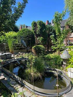 Gartenteich mit Fischen - 