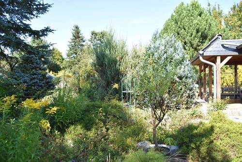 Garten - 3 Zimmer Mehrfamilienhaus, Wohnhaus in Falkenhagen (Mark)