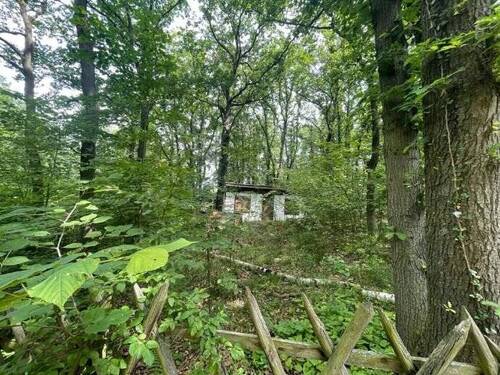 Bild 1 - +++ Großes Gartengrundstück im Erholungsgebiet von Leißling +++