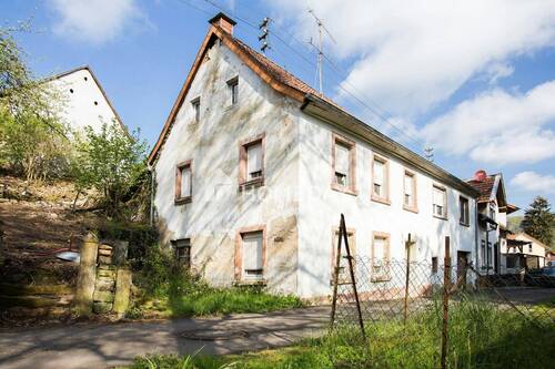 Hausansicht - 5 Zimmer Einfamilienhaus zum Kaufen in Offenbach-Hundheim