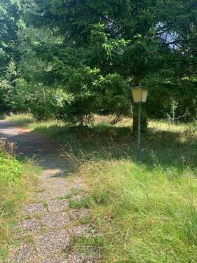 INTX1740 (Copy).JPG - 