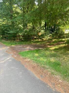 SIEP3473 (Copy).JPG - 