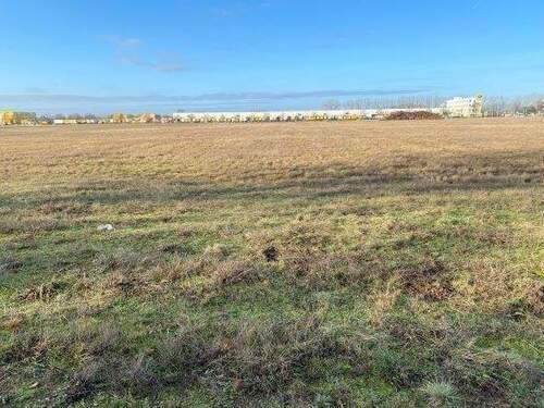 Blick auf das Grundstück - Grundstück in Nauen