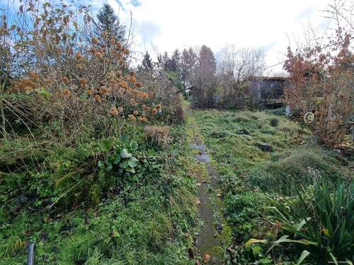 Gartenbereich - 