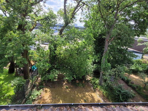 Blick in den Garten - 