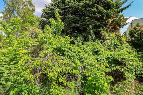 Grundstücksansicht - Grundstück zum Kaufen in Berlin