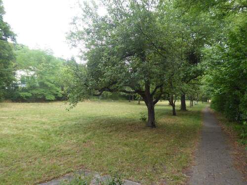 Bild 1 - Entwicklungsfläche für Wohnbebauung und mehr!