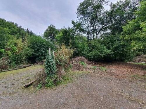 Bild 1 - Grundstück eigener Bachlauf Wald-Wasser-Fläche 2320 m² in Morsbach Im Paffensiefen
