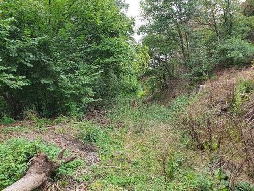 Bild 2 - Grundstück zum Kaufen in Morsbach