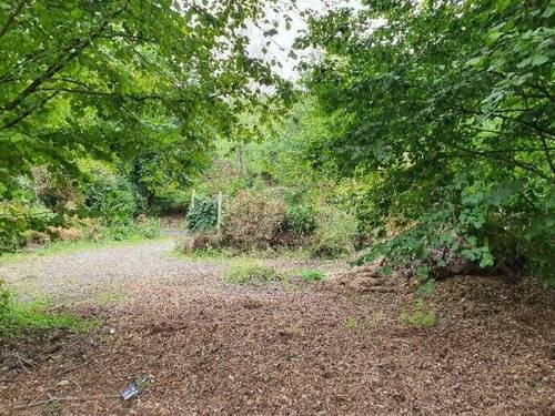 Bild 3 - Grundstück in Morsbach