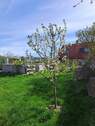 Bild 7 - 