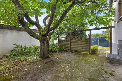 Kirschbaum - 